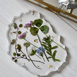 Wildflower's plate 1枚目の画像