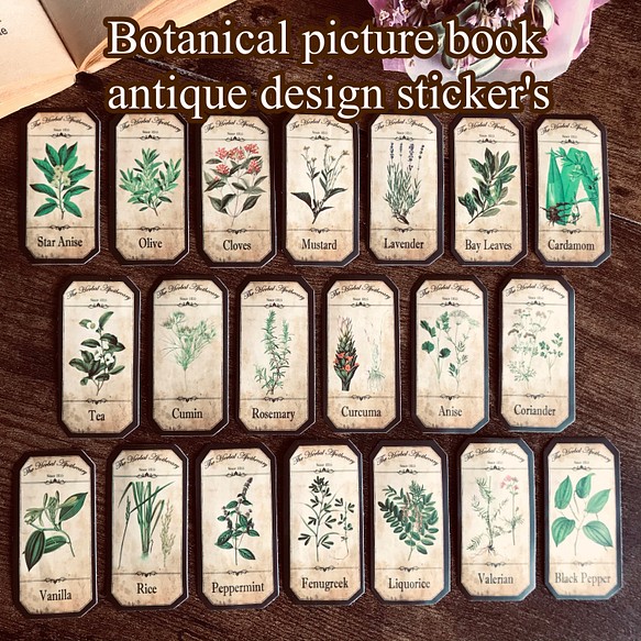 植物図鑑のようなボタニカルステッカー  20枚入 1枚目の画像