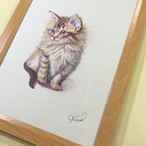 子猫のイラスト 色鉛筆画 猫 長毛のねこ 絵 絵画 アート 癒しネコ 