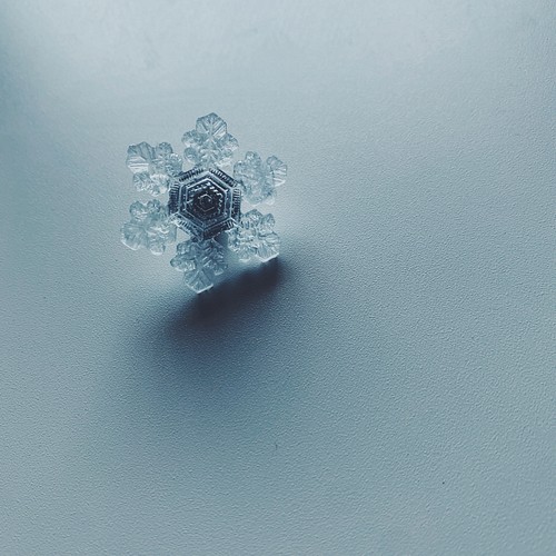 特集掲載】雪、ついてるよ no.02 雪の結晶 ピンブローチ 扇状 《2月末 
