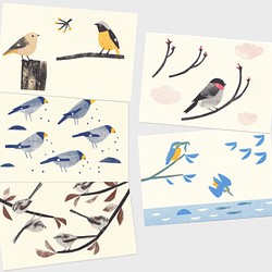 野鳥ポストカード（５種セット） 1枚目の画像