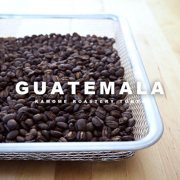グアテマラ『森の大地』コーヒー豆　200g【受注後焙煎】 1枚目の画像
