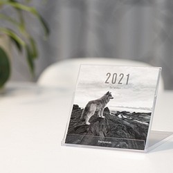 【限定】2021 TrueStyleLab. オリジナルカレンダー 1枚目の画像