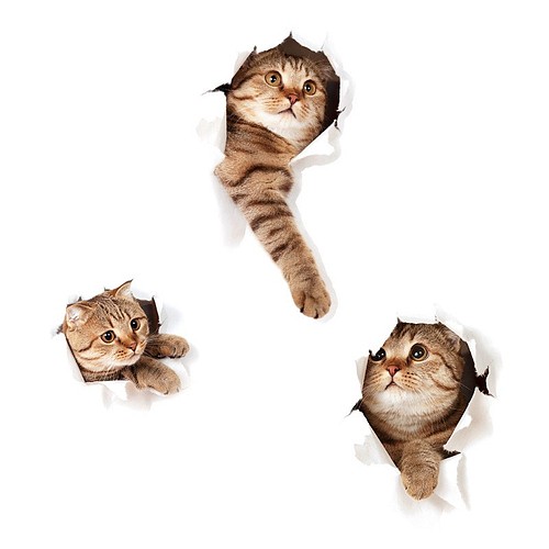 M127ウォールステッカー 3d 3匹可愛い猫 剥がせる壁紙 インテリア ウォールデコ Phoenixmm 通販 Creema クリーマ ハンドメイド 手作り クラフト作品の販売サイト