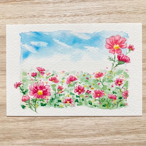 3枚セット 秋空のコスモス 水彩画イラストポストカード コスモス 秋桜 花 秋 イラスト Marron125 通販 Creema クリーマ ハンドメイド 手作り クラフト作品の販売サイト