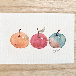 3枚セット「ほっこりりんご」北欧水彩画イラストポストカード　リンゴ　秋 1枚目の画像