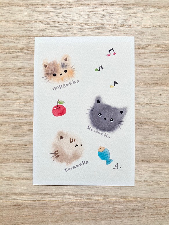 ハチワレ 猫 厚塗り イラスト ポストカード