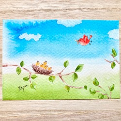 3枚セット「おなかすいたよー」水彩画イラストポストカード　鳥　小鳥　バースデーカード　母の日 1枚目の画像