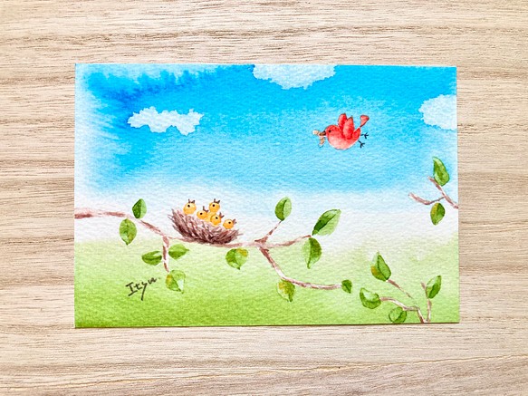 3枚セット「おなかすいたよー」水彩画イラストポストカード　鳥　小鳥　バースデーカード　母の日 1枚目の画像