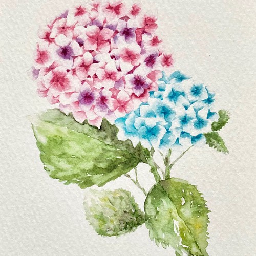 高級感 水彩画 紫陽花 あじさい 花 絵画 絵画 タペストリ Alrc Asia