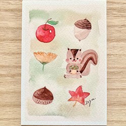 3枚セット「りすさん」水彩画イラストポストカード　秋　メッセージカード　リス　りんご　紅葉　敬老の日 1枚目の画像