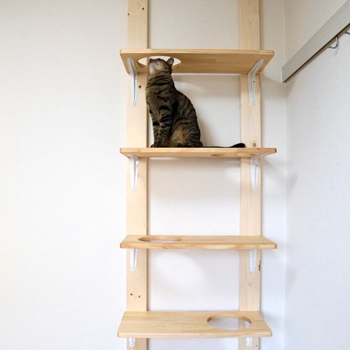 穴付きキャットステップ 4点セット キャットウォーク ハウス・小屋