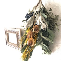 Mimosa Anique Bouquet  Lサイズ 1枚目の画像