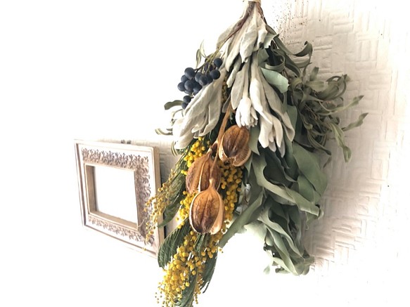 Mimosa Anique Bouquet  Lサイズ 1枚目の画像