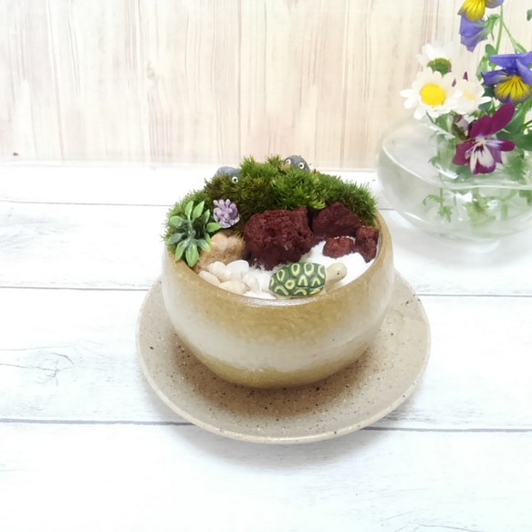 むっちゃんの苔庭　柚子小鉢D 1枚目の画像