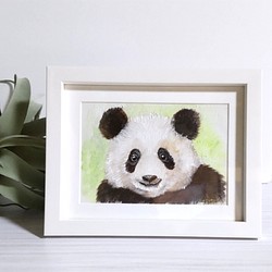 パンダ〈油絵〉 1枚目の画像