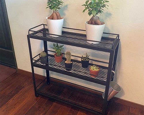 ボタニカルシェルフ w750 植物棚 アイアンシェルフ 3段 家具 観葉植物