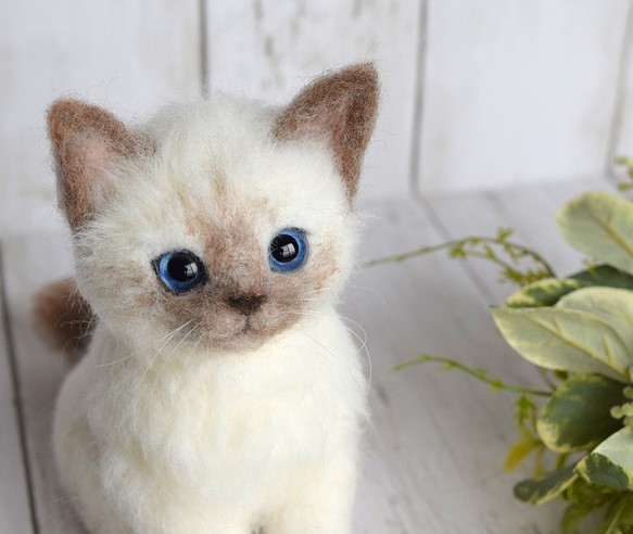 ぬいぐるみ/人形羊毛フェルト シャム猫ちゃん 手のひらマスコット型 ハンドメイド 猫