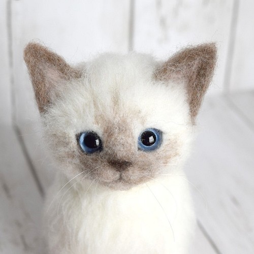 シャム猫の子猫 羊毛フェルト Studio Coup 通販 Creema クリーマ ハンドメイド 手作り クラフト作品の販売サイト