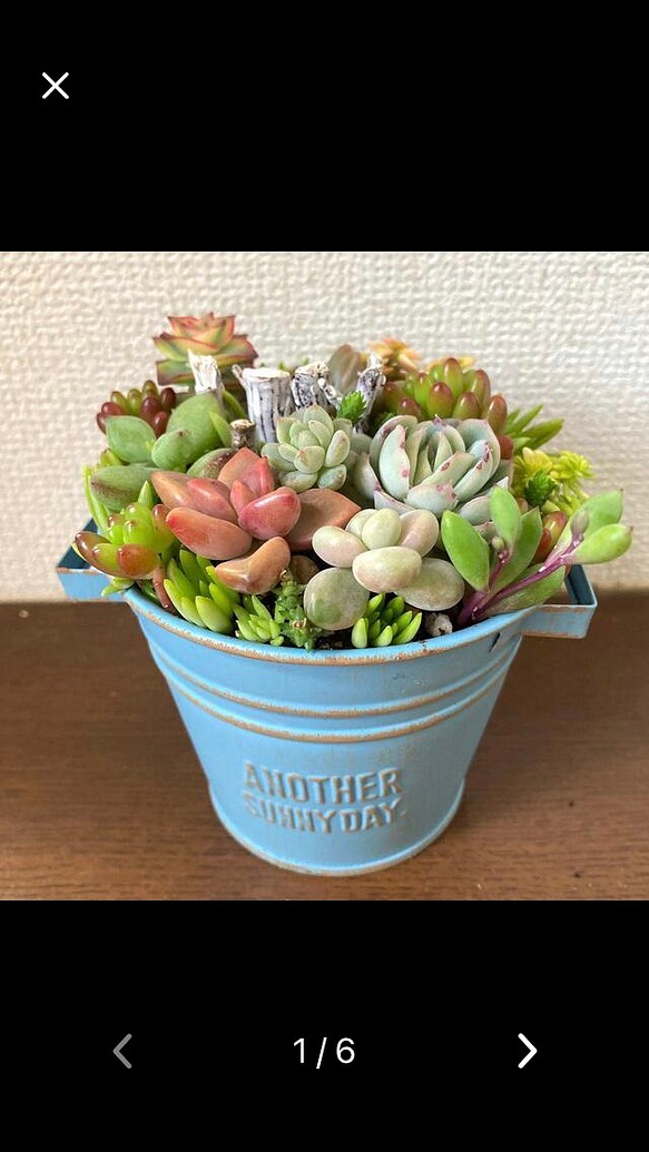 Sold 多肉植物アレンジ 寄せ植え カラーポット 多肉寄せ植え おうちプレゼント おしゃれ寄せ植え 多肉アレンジ その他インテリア雑貨 Gonzu 通販 Creema クリーマ ハンドメイド 手作り クラフト作品の販売サイト