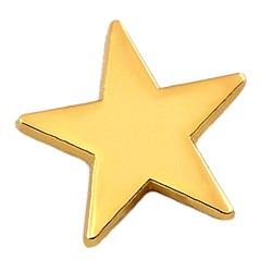 ピンズ 金色に光る スター 星 ピンバッジ ゴールド 五芒星 ピンバッチ デラックス薄型キャッチ付 1枚目の画像