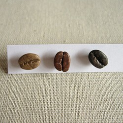 コーヒー豆　３つぶ組。 1枚目の画像
