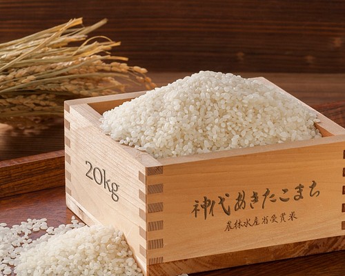 令和3年産 新米20kg お米をおかずに食べるお米！秋田県産あきたこまち