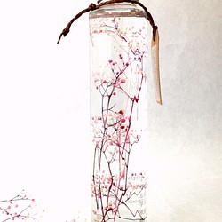 植物ノ瓶詰メ標本collection（ハーバリウム）　ミニカスミソウ　ホワイト＆ピンク 1枚目の画像