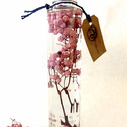 植物ノ瓶詰メ標本collection　コショウボク　ピンク　（ペッパーツリー、ペッパーベリー） 1枚目の画像