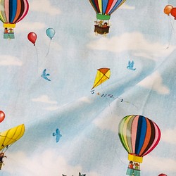 Belle&Boo  Hot Air Balloon 気球と風船 1枚目の画像