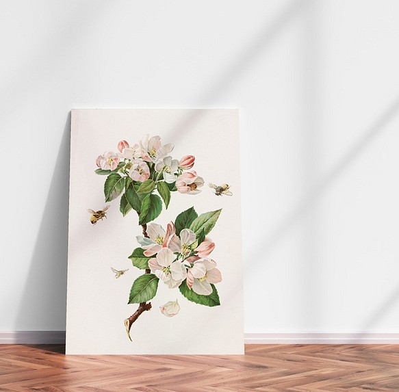 【NO.28】林檎の木の花と蜜蜂アートポスター☆リンゴボタニカルフラワー虫インテリアヴィンテージアンティークA4A3A2 1枚目の画像