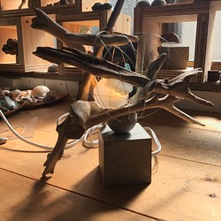流木、シーグラス、LED、コンクリート、ステンレスワイヤーのスクランブルオブジェ 1枚目の画像
