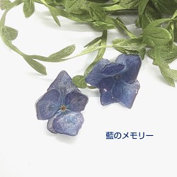 藍のメモリー デニムカラー紫陽花のピアス 1枚目の画像