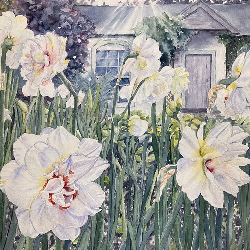 水仙の庭 Narcissus Garden 透明水彩画 原画 花の絵 絵画 Setsu 通販 Creema クリーマ ハンドメイド 手作り クラフト作品の販売サイト