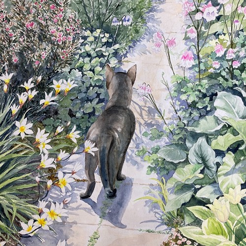 庭のめい➁」水彩画 原画 F6 猫の絵 庭の絵 花の絵 絵画 Setsu 通販 