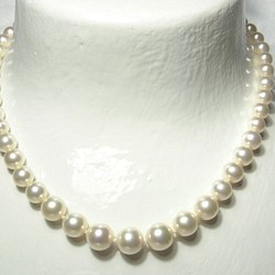 日本製造高品質貝殼珍珠白色漸變項鍊禮儀場合入學學校 第1張的照片