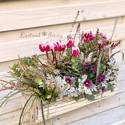 ガーデンシクラメンの花束寄せ植えプランツ・ギャザリング®　ホワイトウッドプランター 1枚目の画像