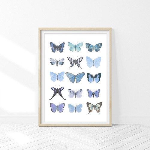 青い蝶 アートポスター 48 Blue Butterfly イラスト Aina Studio 通販 Creema クリーマ ハンドメイド 手作り クラフト作品の販売サイト
