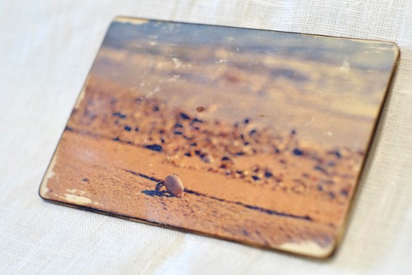 木製ポストカード『a hermit crab ヤドカリ』 1枚目の画像