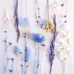 スカイブルー花材セット　ドライフラワー　プリザーブドフラワー　ブルー 1枚目の画像