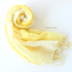 cotton linen Hand-dyed stole ★ mimosa yellow T17303 第1張的照片