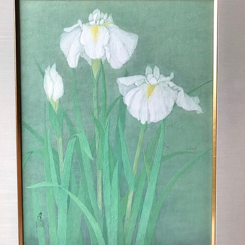 花 絵 植物画 癒し 優しい インテリア 額入り 日本画 菖蒲 絵画 Yukiko 通販 Creema クリーマ ハンドメイド 手作り クラフト作品の販売サイト