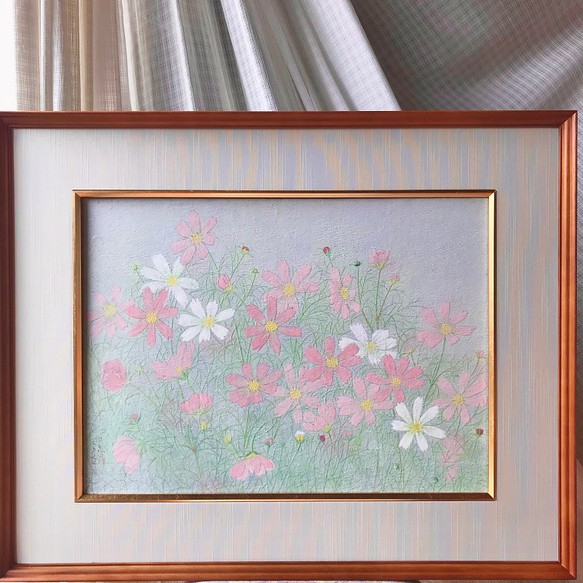 花 絵 植物画 癒し 優しい インテリア 額入り 日本画 『 コスモス