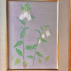 花 絵 植物画 癒し 優しい インテリア 額入り 日本画 『クリスマス