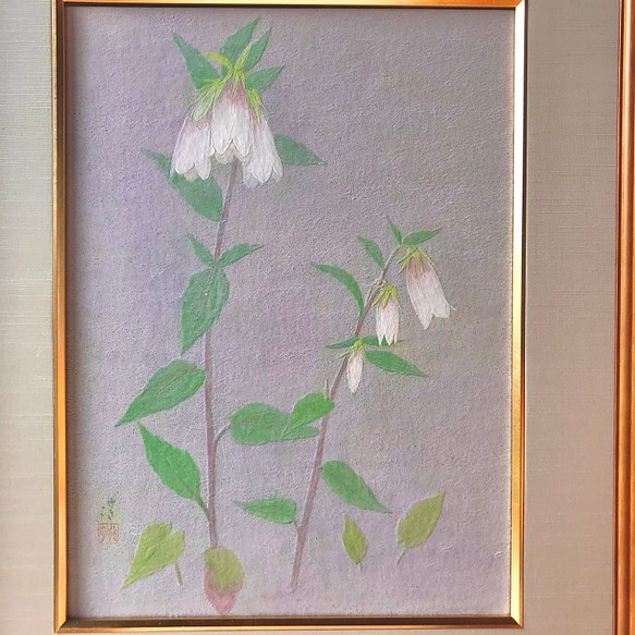 花 絵 植物画 癒し 優しい インテリア 額入り 日本画 ホタルブクロ 絵画 Yukiko 通販 Creema クリーマ ハンドメイド 手作り クラフト作品の販売サイト