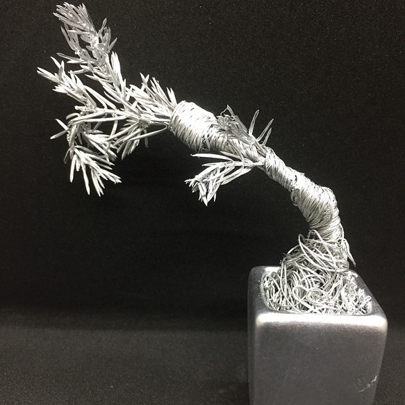 metallic bonsai 24 1枚目の画像