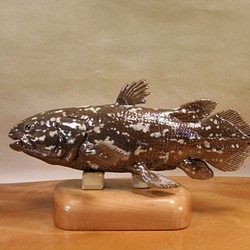 シーラカンス（25cm型）・陶芸作品　置物（陶 さかな フィギュア） 1枚目の画像