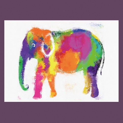 インド象ポスター カラフルな象のプリント 絵画 suzukiandco 通販 