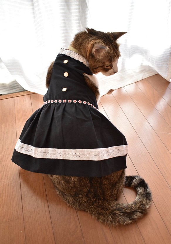 猫服（犬服） 黒ワンピース ペット服・アクセサリー 桜風堂 通販