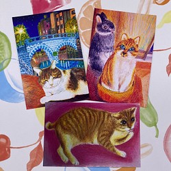 [猫ちゃん達の休日]ポストカード3枚セット　うさぎ　眼鏡橋 1枚目の画像